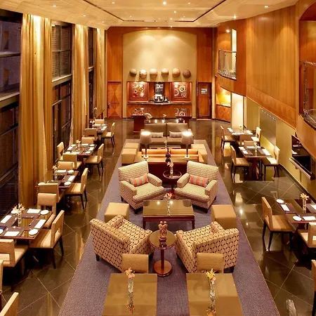 Hyatt Regency Johannesburg-2