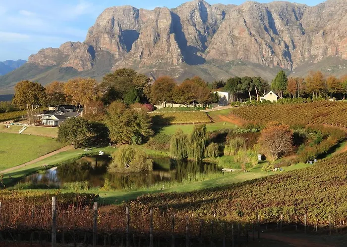 Alluvia Boutique Winery & Luxury Accommodation Stellenbosch