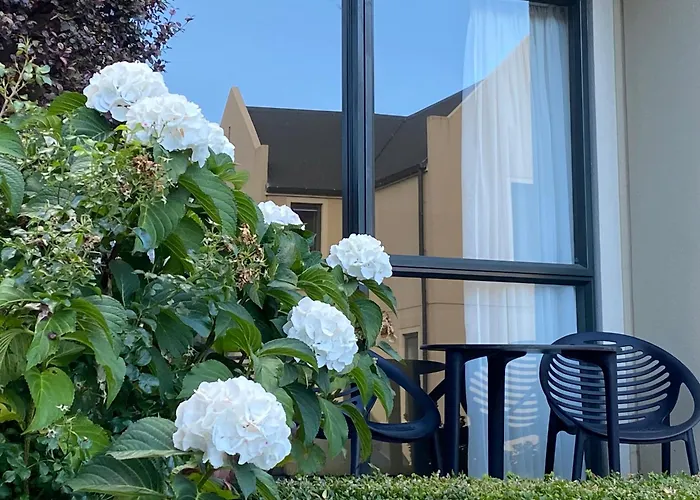 Motel On York Dunedin