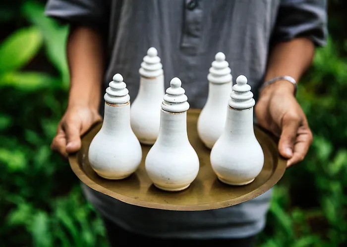 Treeline Urban Resort Siem Reap