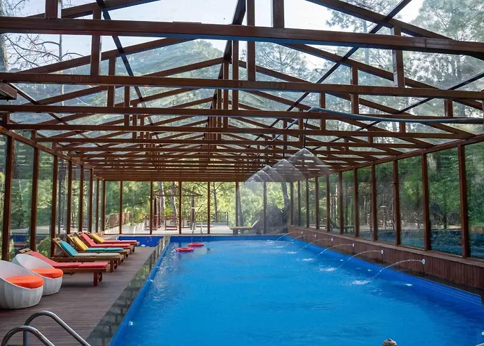 Chillaru Spa & Resort Kasauli