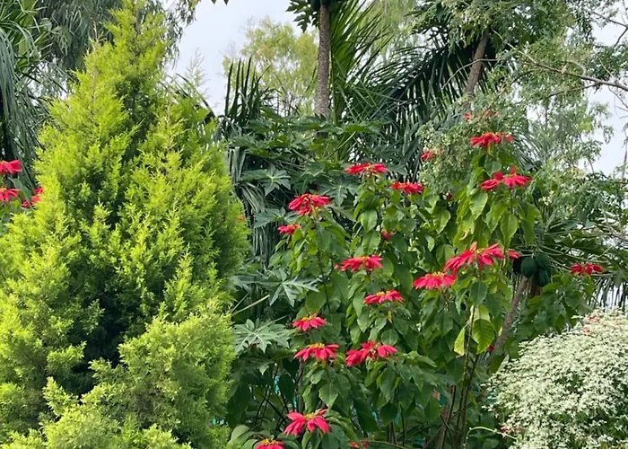 Tekri Farms And Retreat Hotel Ujjain