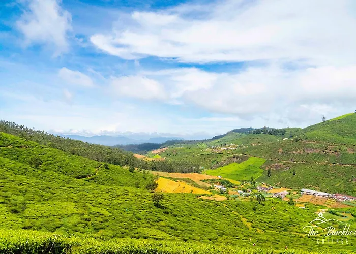 The Blackberry Cottage Nuwara Eliya