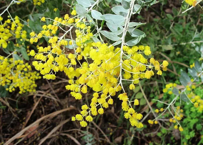 Margarets In Town Apartments Margaret River