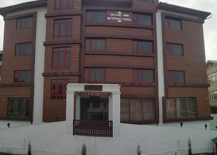 Grand Mir International, Srinagar Hotel