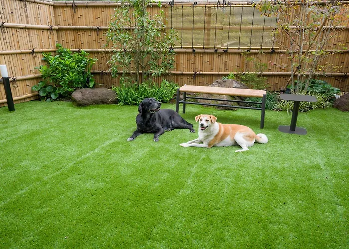 Rakuten Stay Terrace Hakone Kowakudani