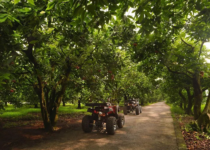 The Westin Desaru Coast Resort