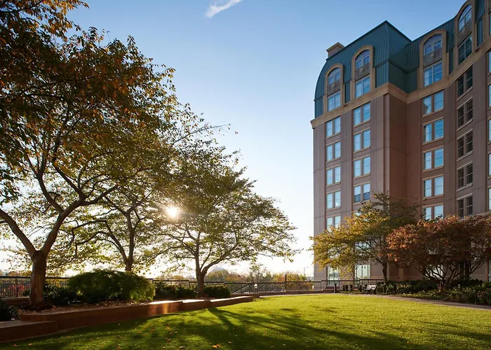 Salamander Washington Dc