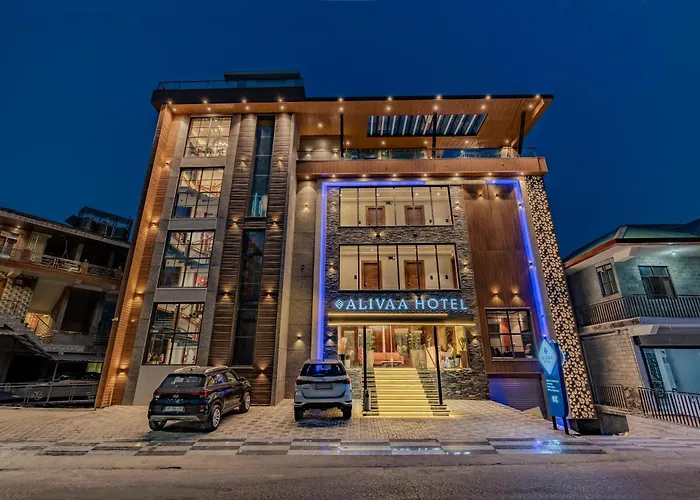 Alivaa Hotel, Mcleodganj With Best Dhauladhar View & Infinity Pool Sky Garden McLeod Ganj