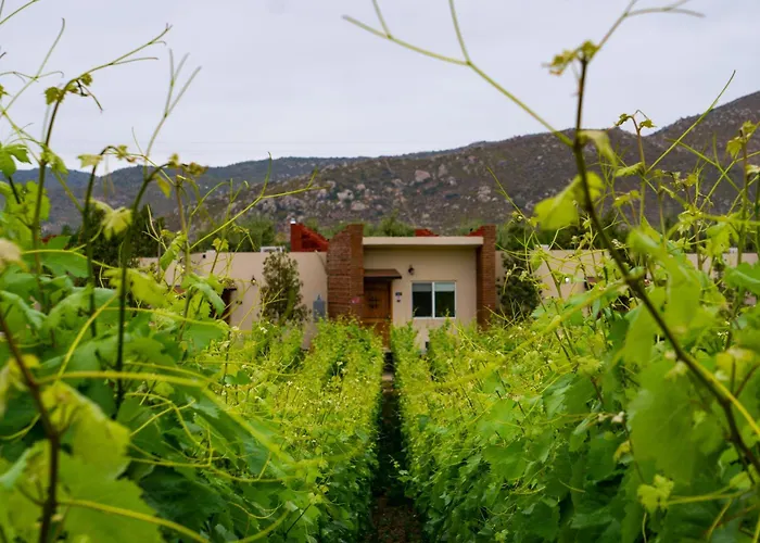 Ojo Azul Resort Valle de Guadalupe