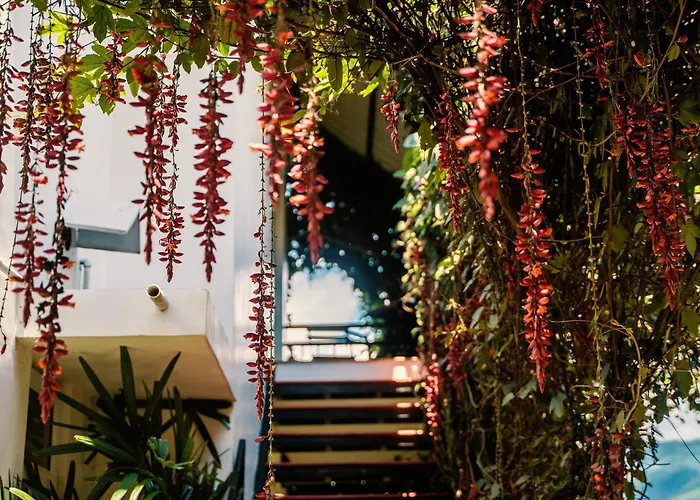 The Leaf Munnar Hotel