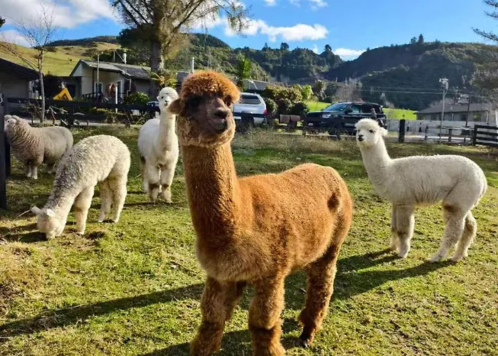 Hideaway Of Rotorua Hotel
