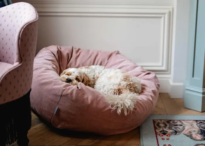 The Leo Grand Hotel Vienna