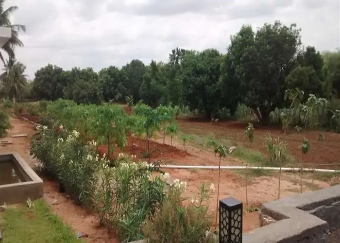 Heritage Resort Hampi