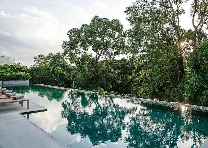 Treeline Urban Resort Siem Reap