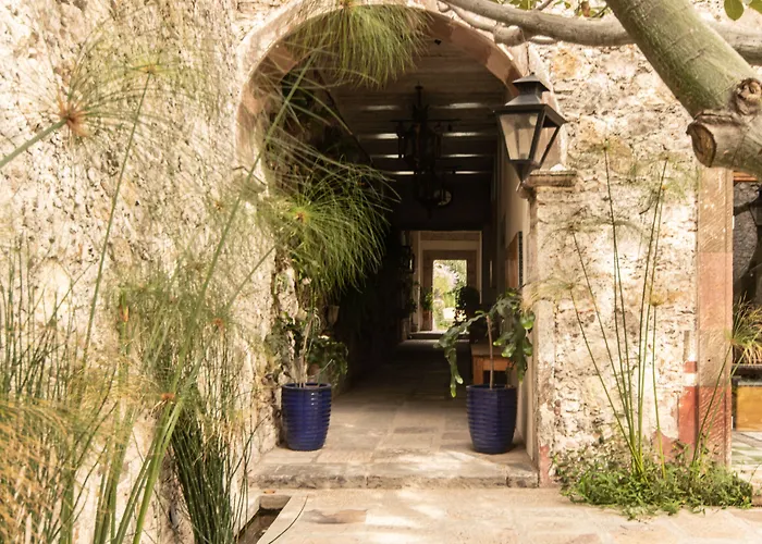 Orchid House San Miguel De Allende