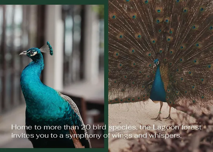 Furama Resort Danang