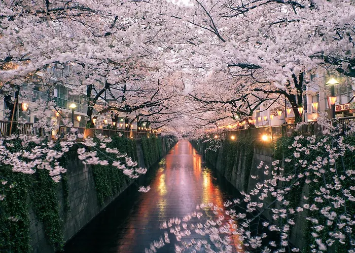 The Westin Tokyo Hotel