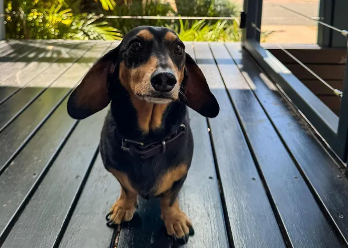 Big4 Breeze Holiday Parks - Busselton