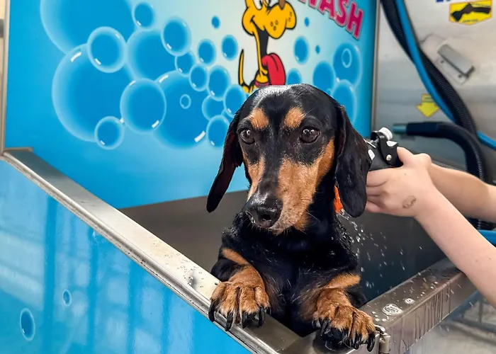 Big4 Breeze Holiday Parks - Busselton