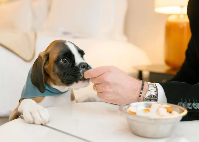 Sofitel Le Scribe Paris Opera Hotel