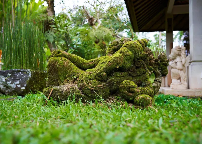 Ayurvedagram Bali - Wellness & Retreat Resort Ubud 