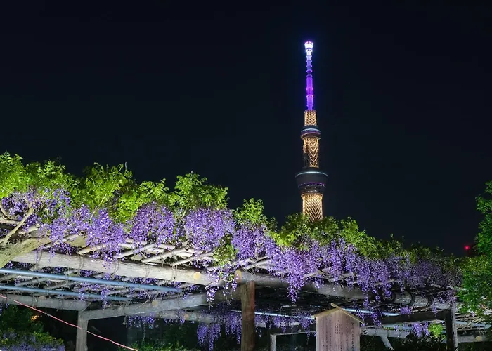 The Westin Tokyo Hotel