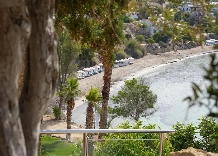 Thalassa Boutique Hotel & Spa (Adults Only) Paphos