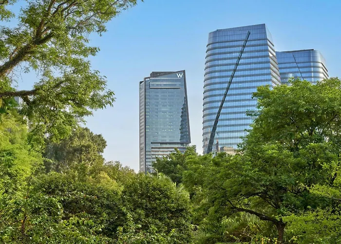 W Sao Paulo Hotel