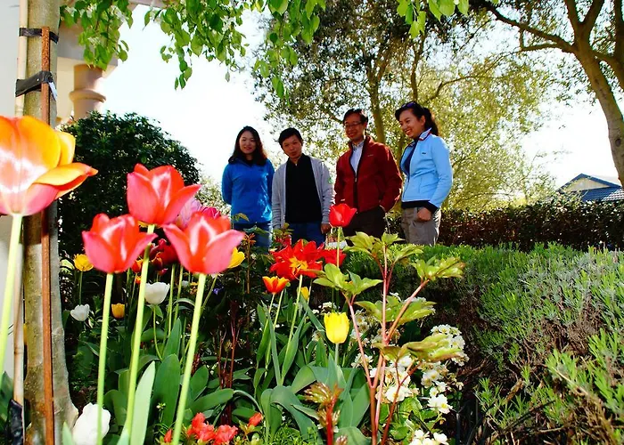 Olive House Bed And Breakfast Christchurch